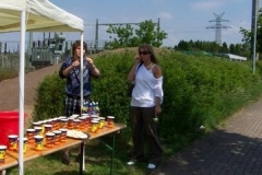 triathlon 264